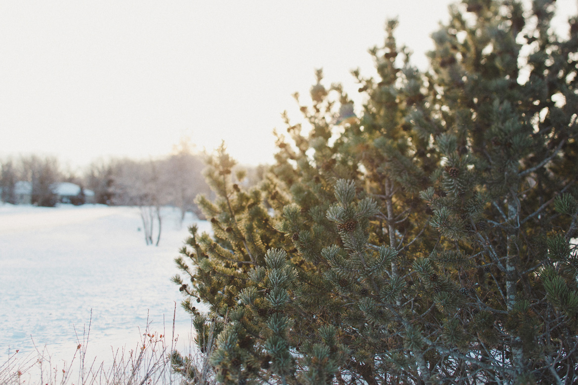 Dorothy + Greg :: Winnipeg Winter Wedding Kampphotography Winnipeg Wedding Photographers 