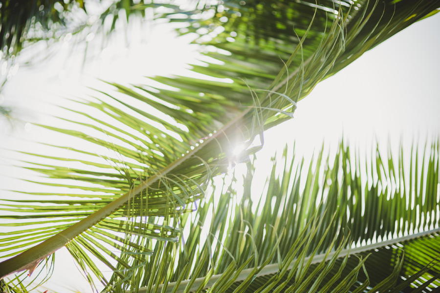 Kaley + Cody :: Dominican Republic Vow Renewal Kampphotography Destination Wedding Kampphotography Winnipeg Wedding Photographers 