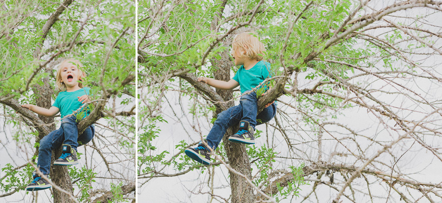 The Whitlaws :: Family Session Kampphotography Winnipeg Family Session 