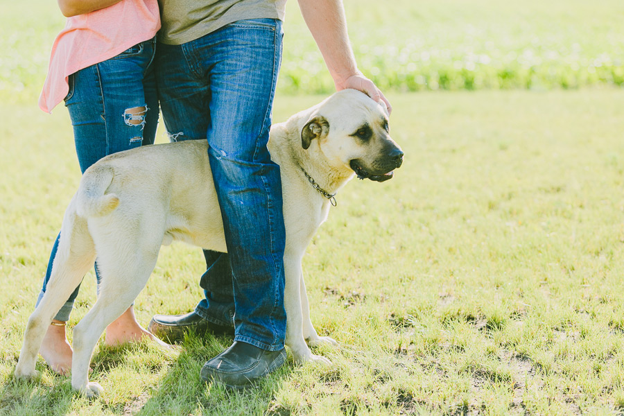 Karen + Alex :: You + Me Session Kampphotography Winnipeg Wedding Photographers You and Me Session 