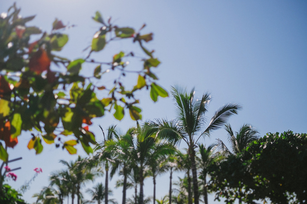 Puerto Vallarta // Beach + Street Kampphotography Destination Wedding 