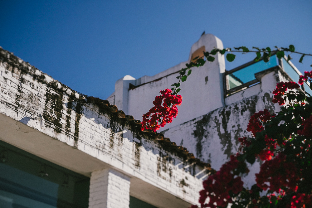 Puerto Vallarta // Beach + Street Kampphotography Destination Wedding 