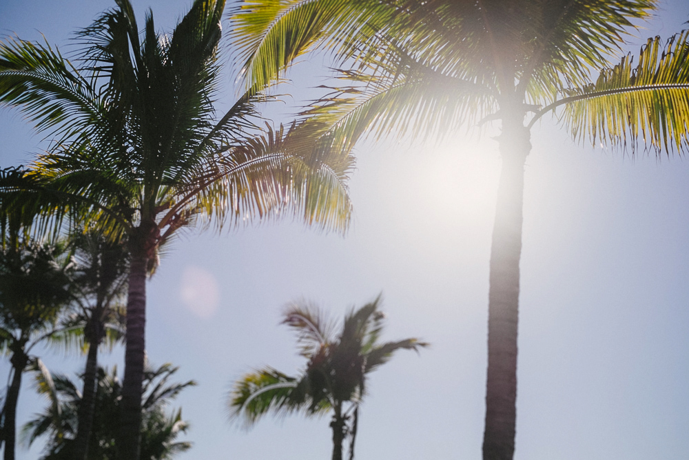 Puerto Vallarta // Beach + Street Kampphotography Destination Wedding 