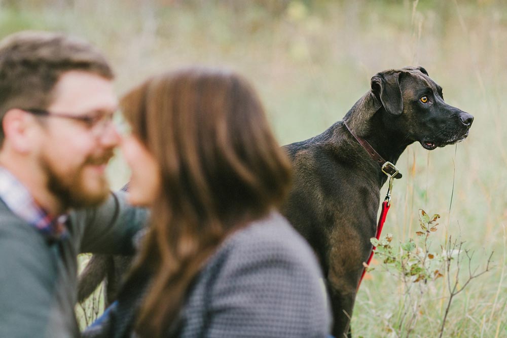 Kayla + Thomas Kampphotography Winnipeg Wedding Photographers You and Me Session 