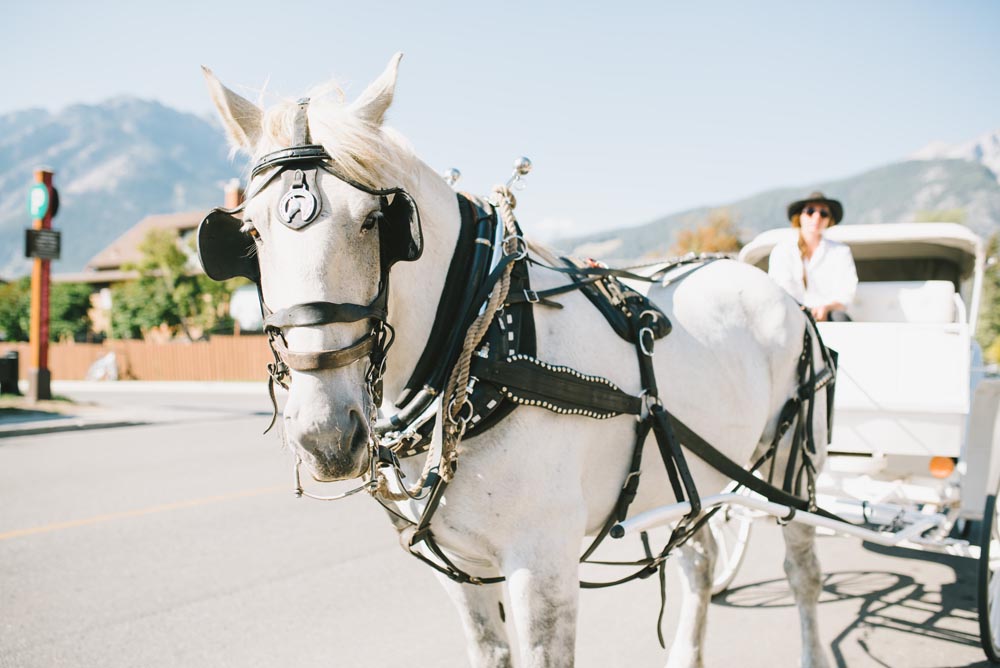 Lynn + Stephen Kampphotography Destination Wedding 