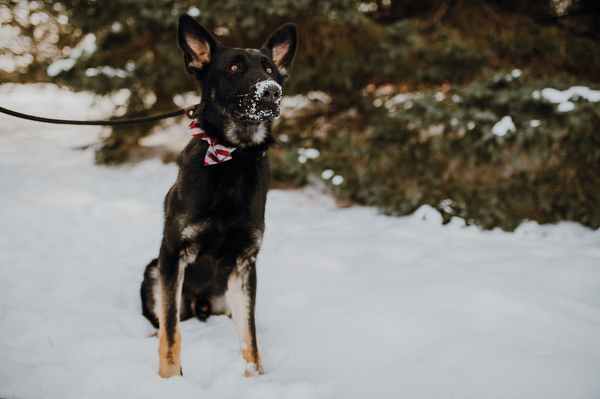 Natalie + Brent Kampphotography Destination Wedding 