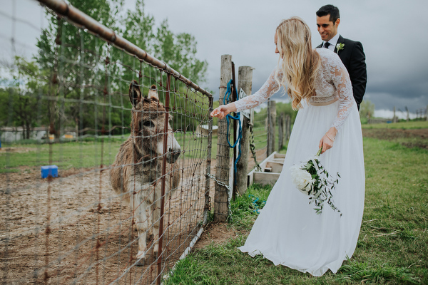 Steckle Heritage Farm Wedding Kampphotography Destination Wedding Kampphotography Winnipeg Wedding Photographers 