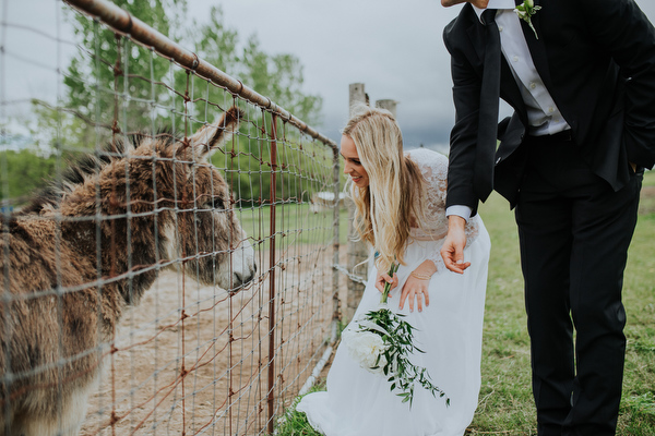 Steckle Heritage Farm Wedding Kampphotography Destination Wedding Kampphotography Winnipeg Wedding Photographers 