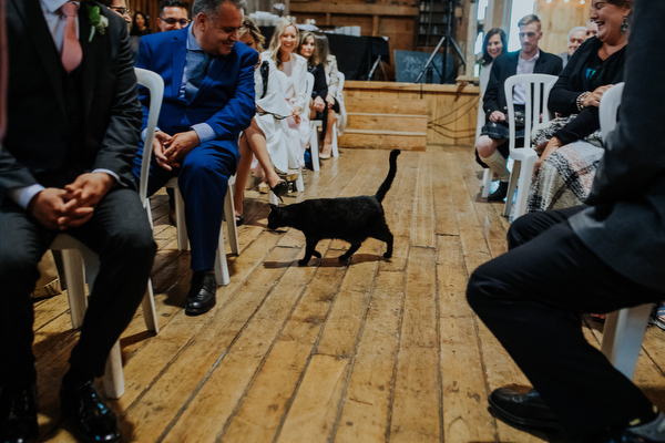 Steckle Heritage Farm Wedding Kampphotography Destination Wedding Kampphotography Winnipeg Wedding Photographers 