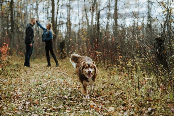 Country Side Engagement Kampphotography Winnipeg Wedding Photographers You and Me Session 