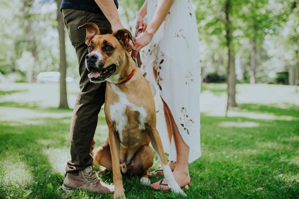 Kildonan Park Engagement Kampphotography Winnipeg Wedding Photographers You and Me Session 