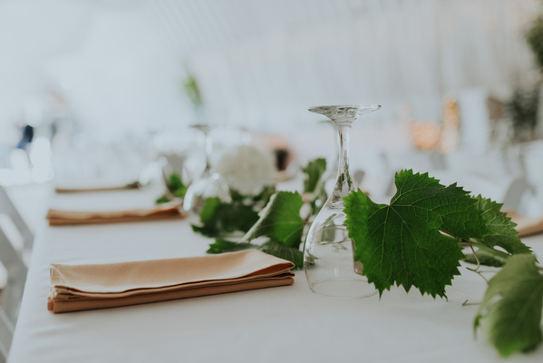 Manitoba Farm Wedding Kampphotography Winnipeg Wedding Photographers 