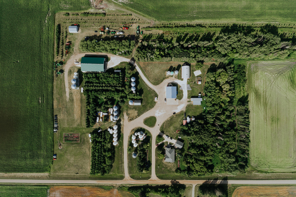 Manitoba Farm Wedding Kampphotography Winnipeg Wedding Photographers 