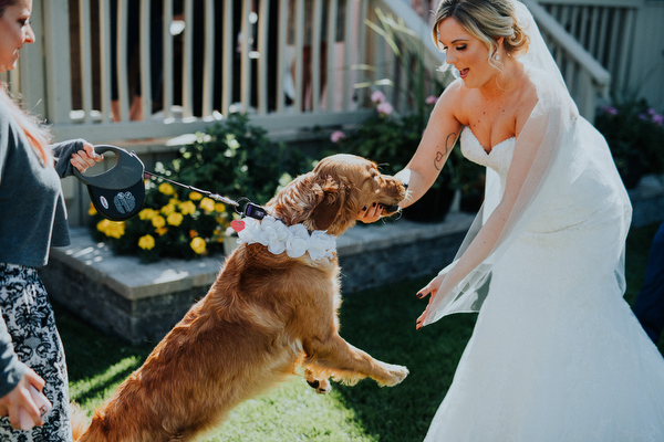 Bridges Golf Course Wedding Bridges Golf Course Wedding Kampphotography Winnipeg Wedding Photographers 