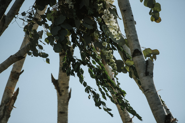 Winnipeg Back Yard Wedding Kampphotography Winnipeg Wedding Photographers 
