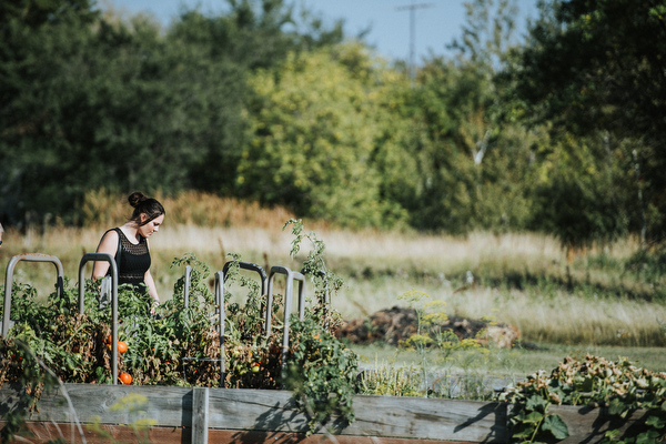 Winnipeg Back Yard Wedding Kampphotography Winnipeg Wedding Photographers 